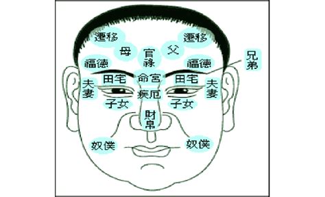 不同面相|面相图解,面相分析,怎么看面相